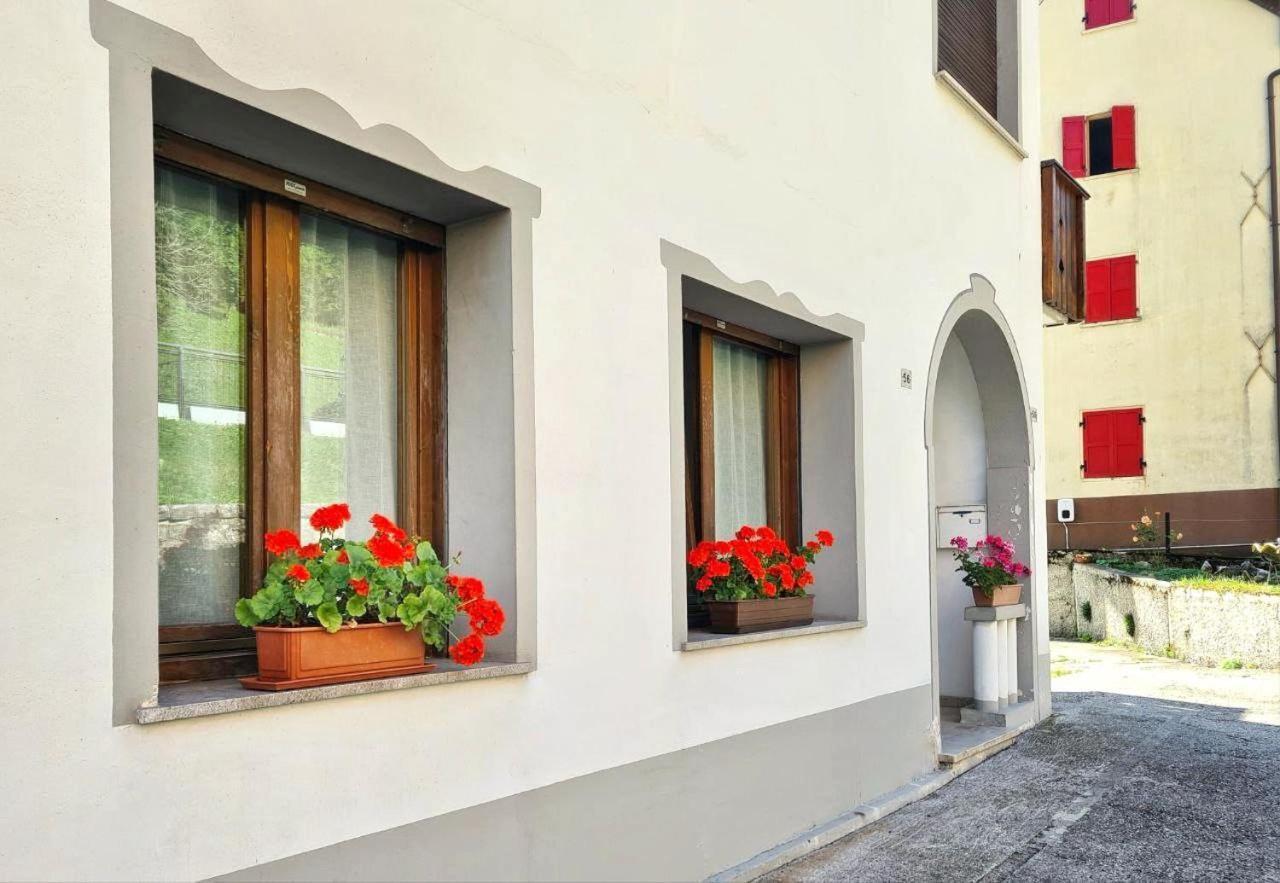 Appartamento Jever House Rigolato Luaran gambar